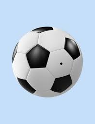 土媒：贝西克塔斯计划一月报价日本国脚守田英正